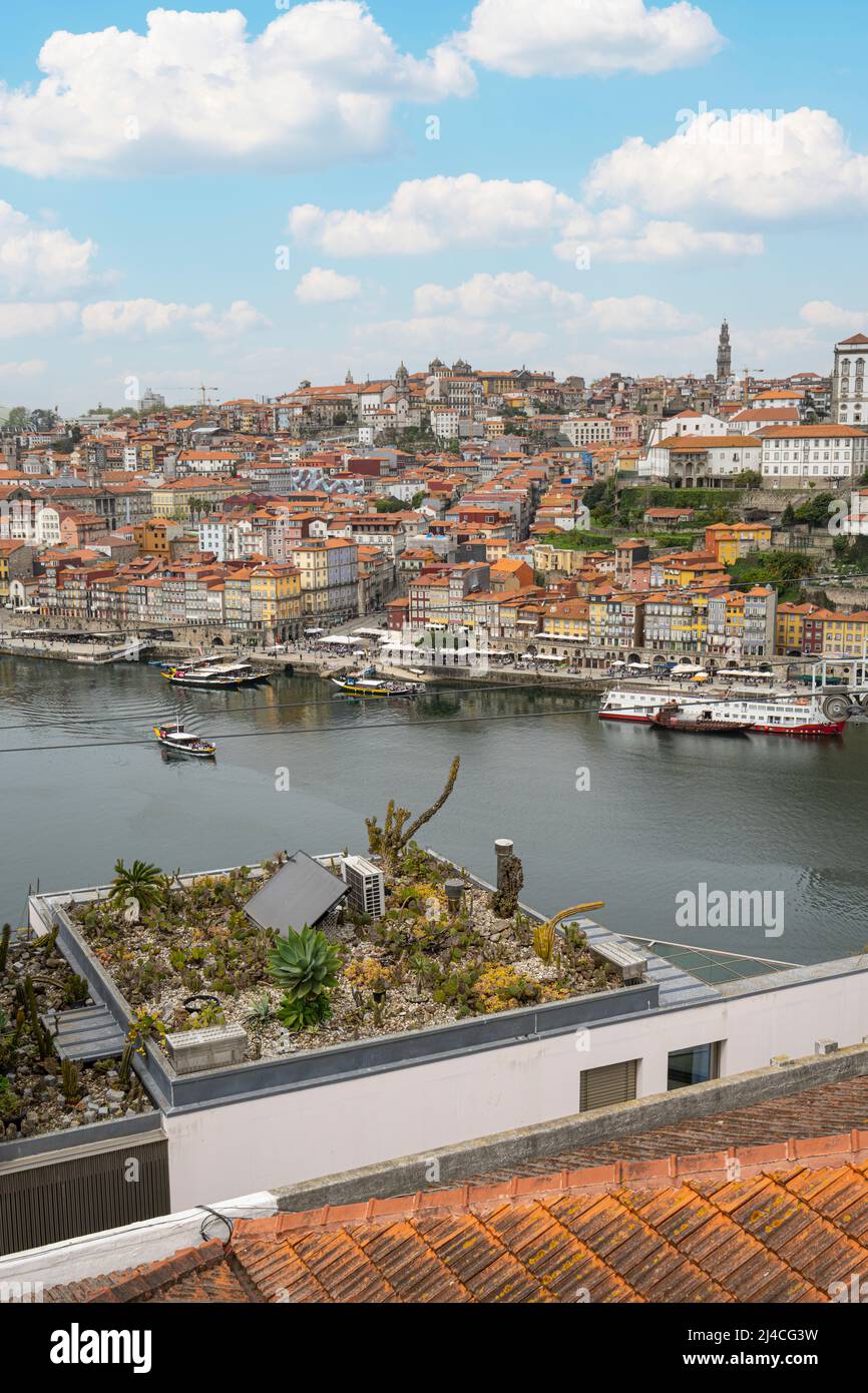 porto, Portugal, mars 2022. Un jardin sur le toit d'une maison sur les rives du Douro dans le centre-ville Banque D'Images