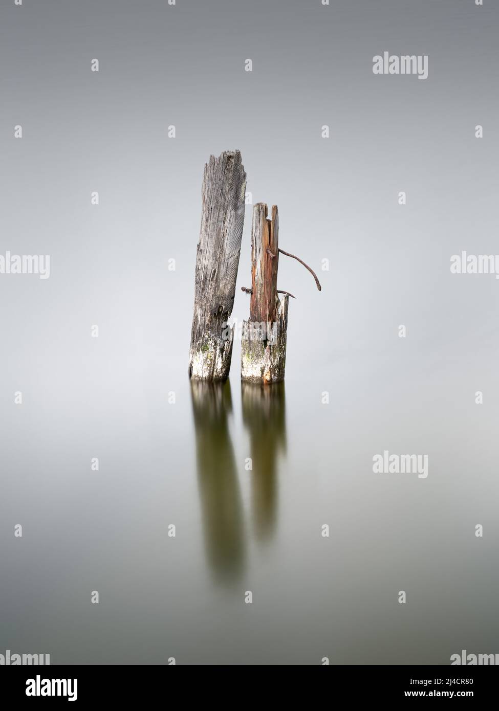 Pieu en bois sur le Grand Jasmund Bodden, île de Ruegen, côte de la mer Baltique, Mecklembourg-Poméranie occidentale, Allemagne Banque D'Images