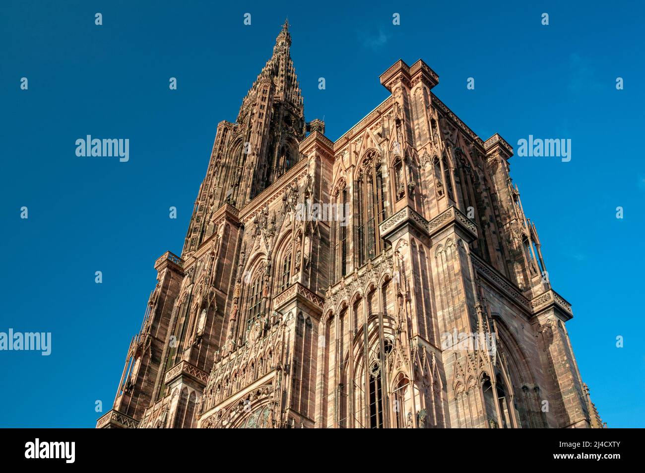 Façade de la cathédrale notre-Dame de Strasbourg dans la vieille ville, site classé au patrimoine mondial de l'UNESCO, Strasbourg, Bas-Rhin (67), région du Grand est, France Banque D'Images