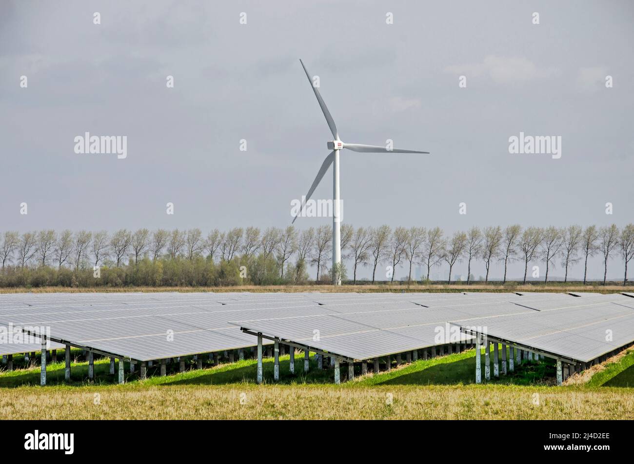 Middelharnis, pays-Bas, 30 mars 2022 : champ de panneaux solaires et d'une éolienne dans le paysage plus polder de l'île de Flakkee Banque D'Images