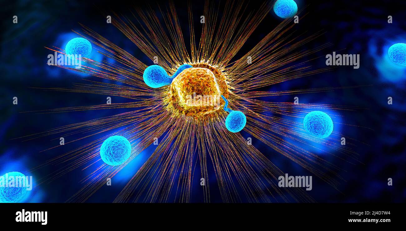 Cellules de lymphocytes dans le système immunitaire réagissant et attaquant une cellule de cancer se propageant - 3D illustration Banque D'Images