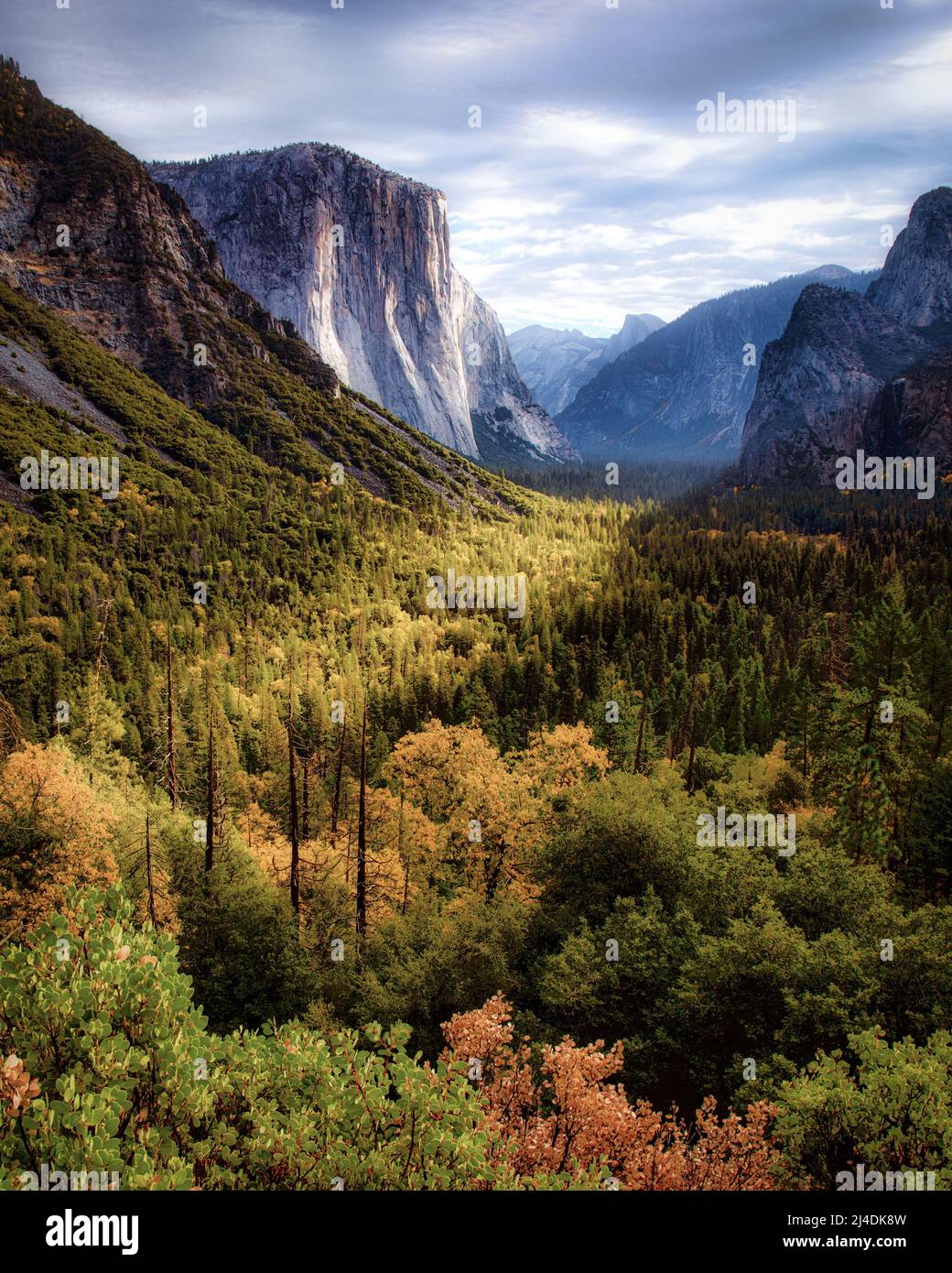 La vallée de Yosemite se réchauffe sous le soleil du matin dans le parc national de Yosemite, en Californie. Banque D'Images