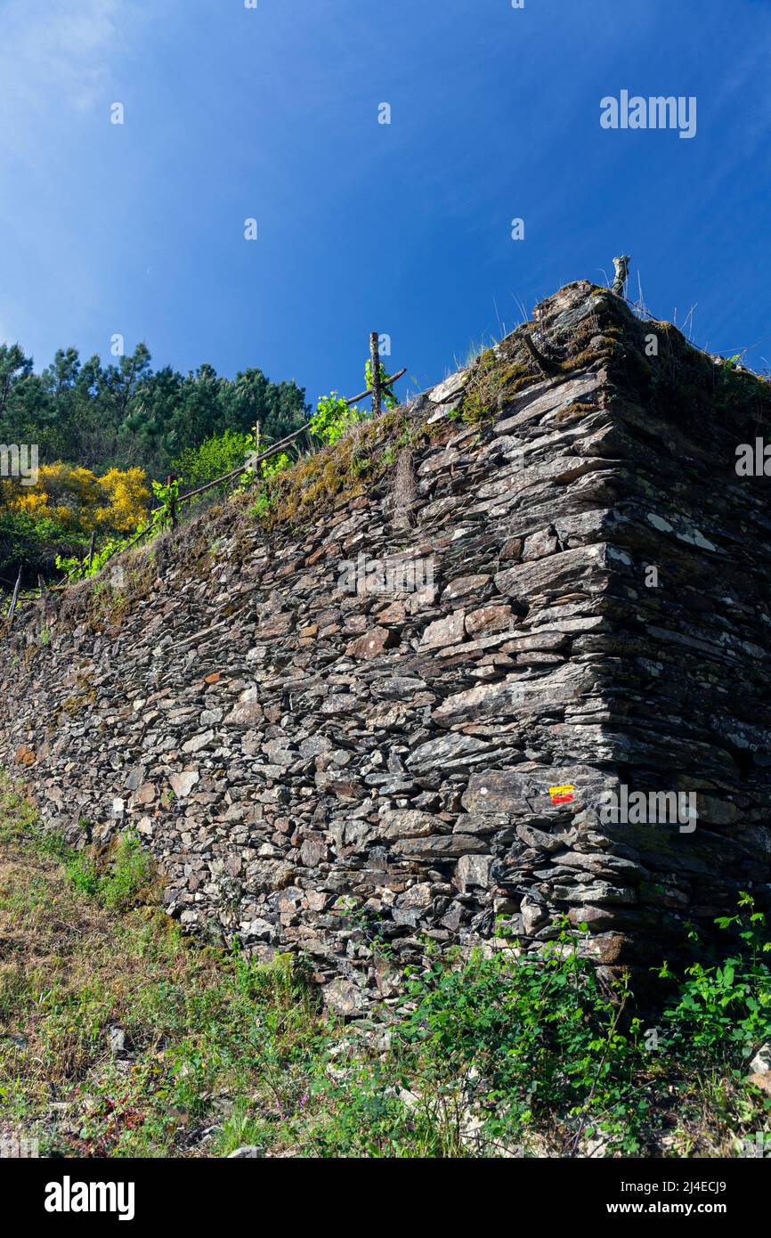 Europe, Portugal, District de Coimbra, près de Góis, 'le Goat Shed' (près de Colmeal), immense mur de soutènement de Schist en pierre locale Banque D'Images