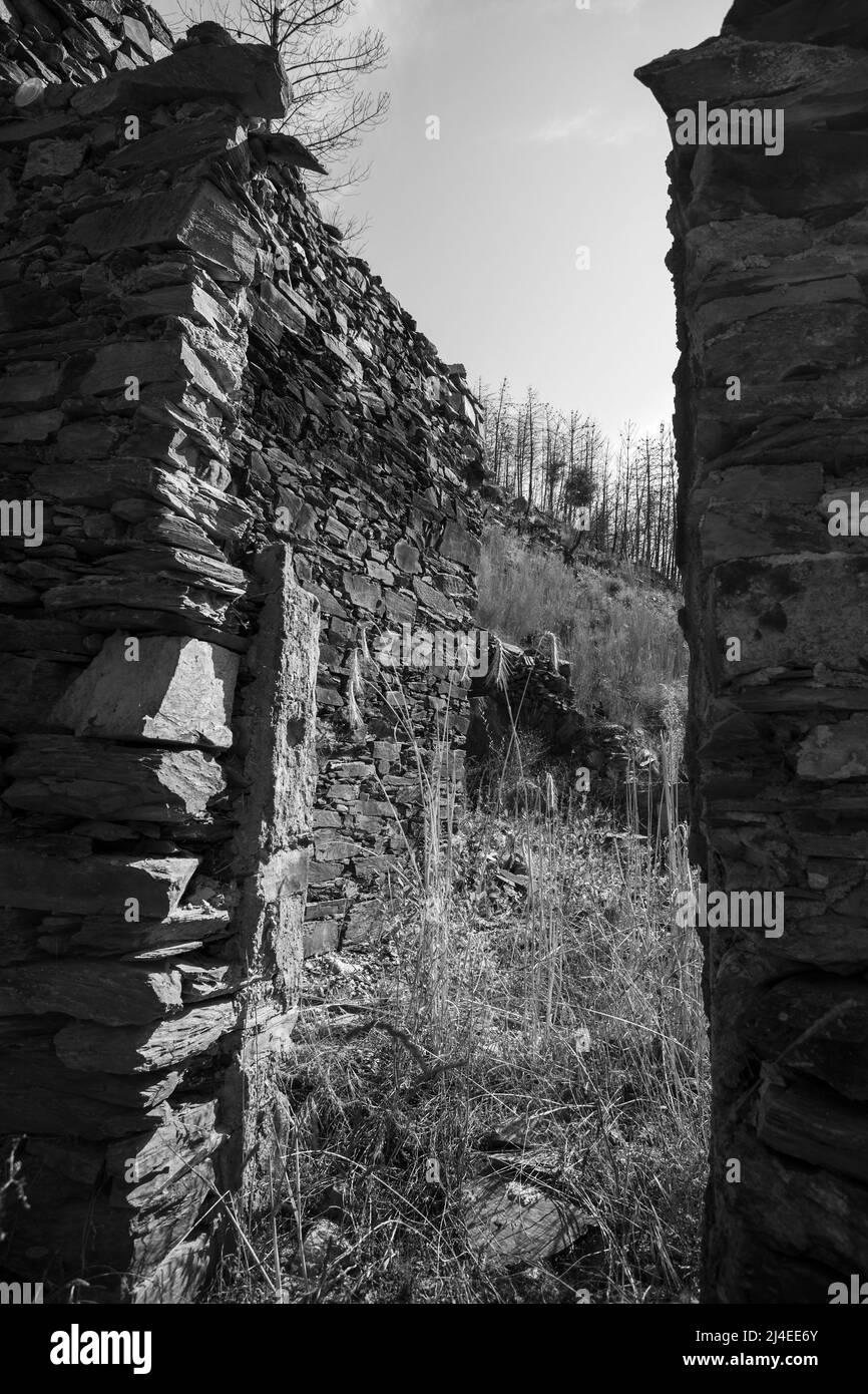 Europe, Portugal, District de Coimbra, près de Góis, ruines du Goatshed (près de Colmeal) montrant la porte brûlée après les feux dévastateurs de 2017 Banque D'Images