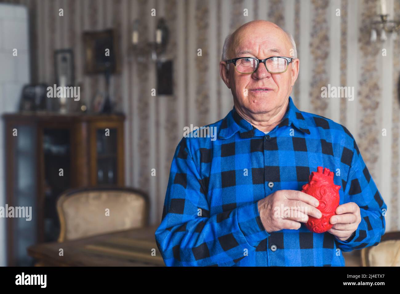 Homme âgé d'Europe chauve senior en chemise en flanelle bleue tenant un  faux coeur artificiel devant sa poitrine. Intérieur à l'ancienne en  arrière-plan. Concept de soins de santé. Photo de haute qualité