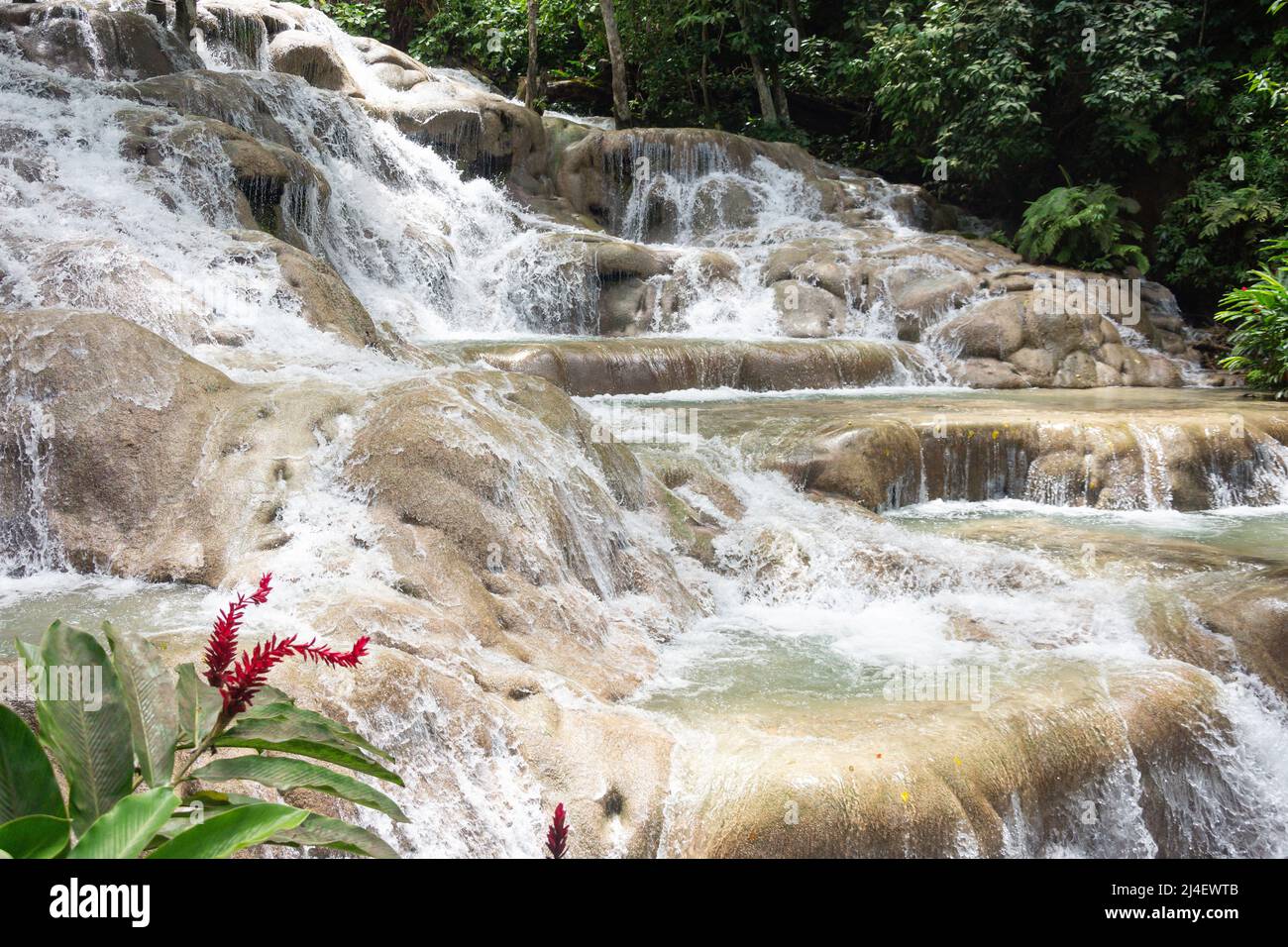 Dunns River Falls, Ocho Rios, paroisse de St Ann, Jamaïque, grandes Antilles, Caraïbes Banque D'Images