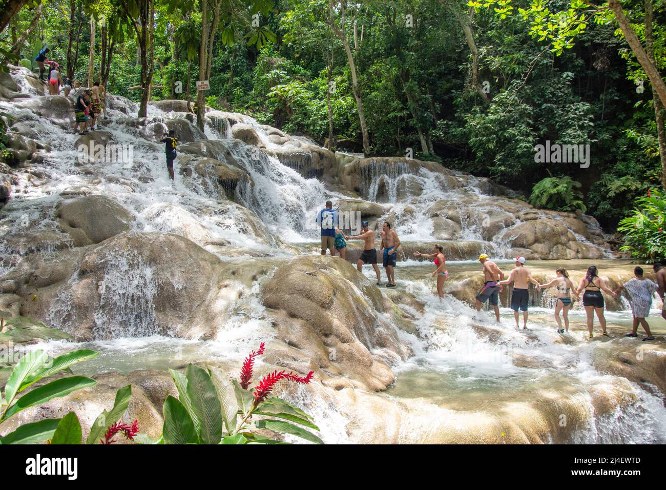 Touristes grimpant les chutes du fleuve Dunns, Ocho Rios, paroisse de St Ann, Jamaïque, grandes Antilles, Caraïbes Banque D'Images