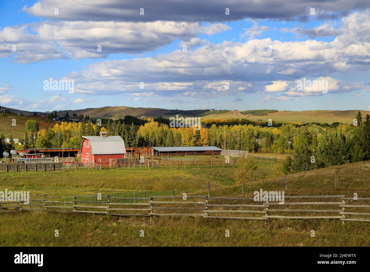 Un paysage rural canadien de terres agricoles et une grange rouge en Alberta, au Canada. Banque D'Images