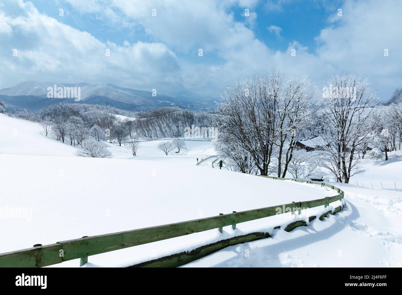 Belle scène de neige de montagne d'hiver, route enneigée et clôture en bois (Daegwallyeong, Gangwon-do, Corée du Sud) Banque D'Images