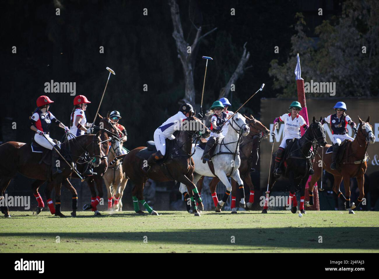 Polo players argentina Banque de photographies et d'images à haute  résolution - Alamy