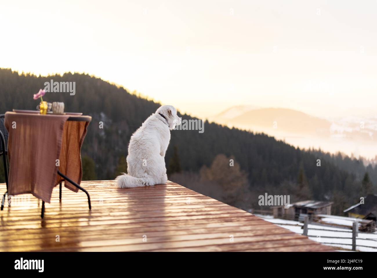 Chien sur la terrasse d'une petite maison dans les montagnes Banque D'Images