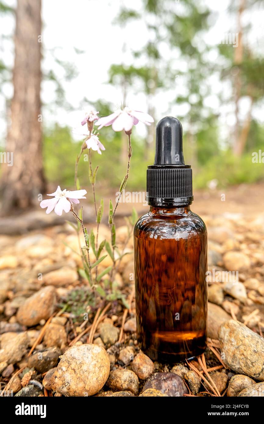 Un flacon compte-gouttes en verre brun avec du sérum, de l'huile essentielle ou un autre produit cosmétique à l'extérieur. Concept de beauté cosmétique Natural Spa. Banque D'Images