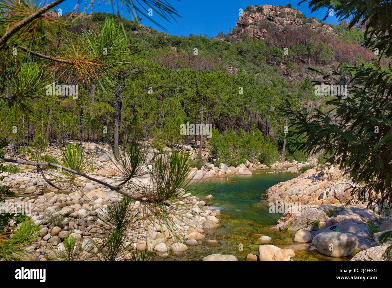 La rivière Solenzara avec ses magnifiques piscines naturelles dans l'eau cristalline au sud-est de l'île de Corse, en France Banque D'Images