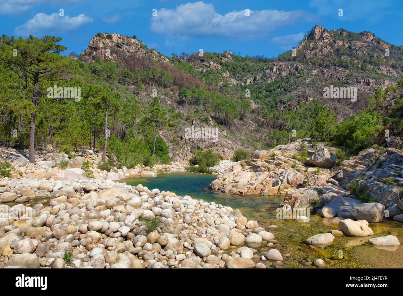 La rivière Solenzara avec ses magnifiques piscines naturelles dans l'eau cristalline au sud-est de l'île de Corse, en France. Banque D'Images