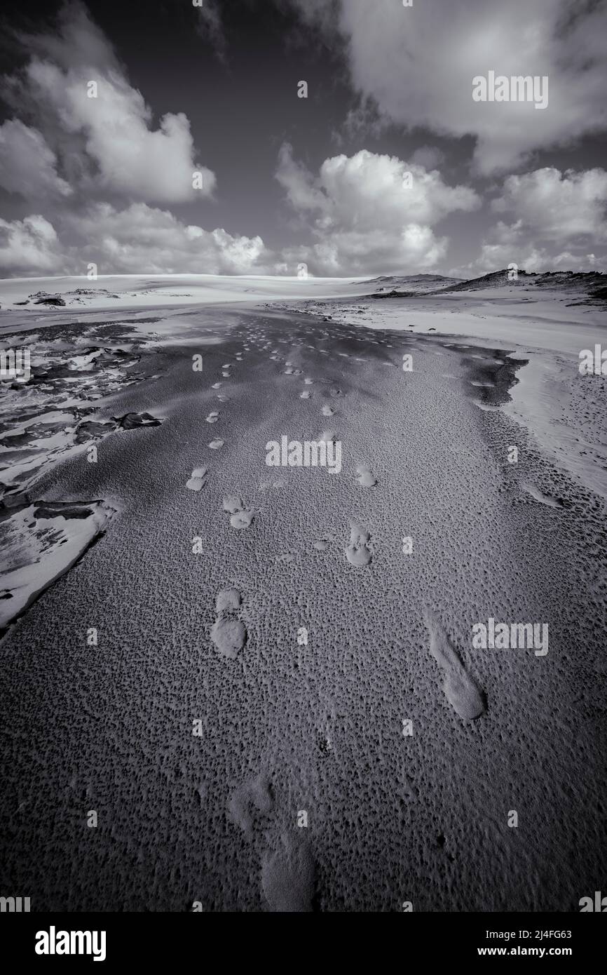 Empreintes de pas dans les dunes de sable du Wungul Sandblow, Fraser Island, Queensland, Australie Banque D'Images