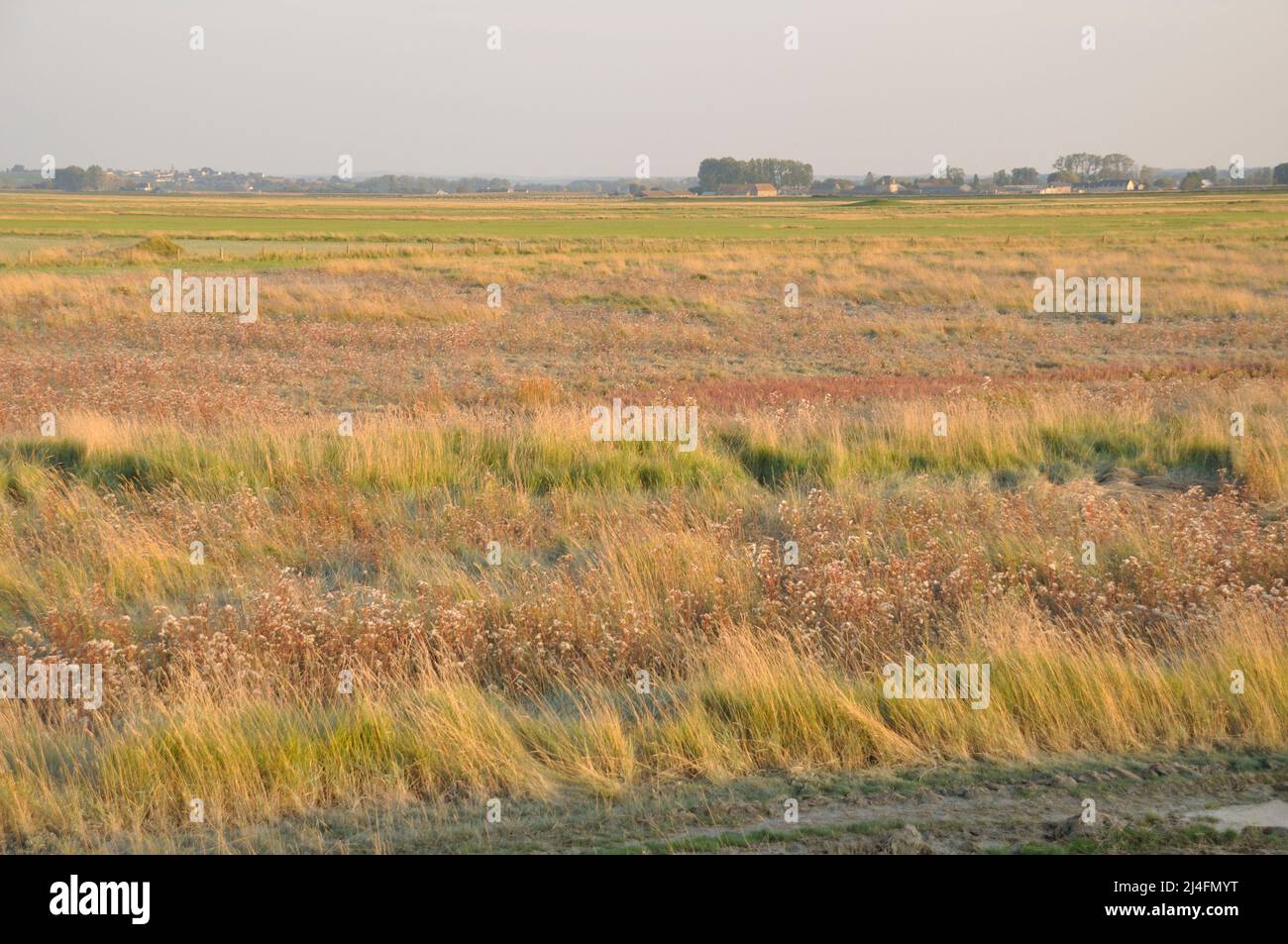 Marais salant baie du mont saint michel Banque de photographies et d ...