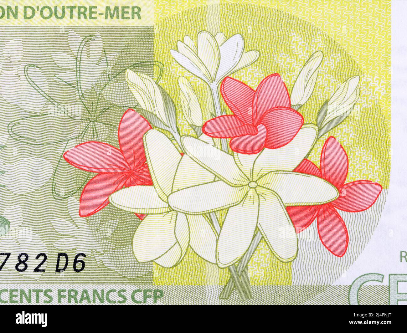 Fleurs des territoires français du Pacifique argent - Francs Banque D'Images