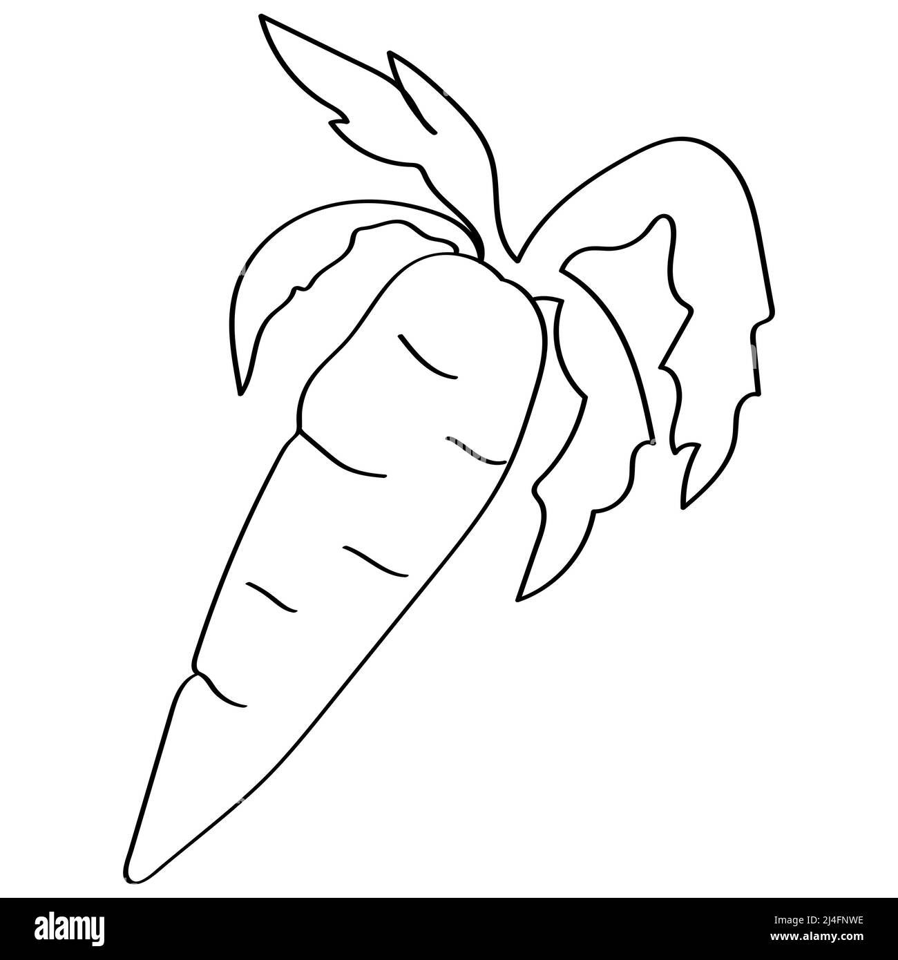 Magnifique dessin animé vegatable isolé sur fond blanc pour le concept de brosse Banque D'Images