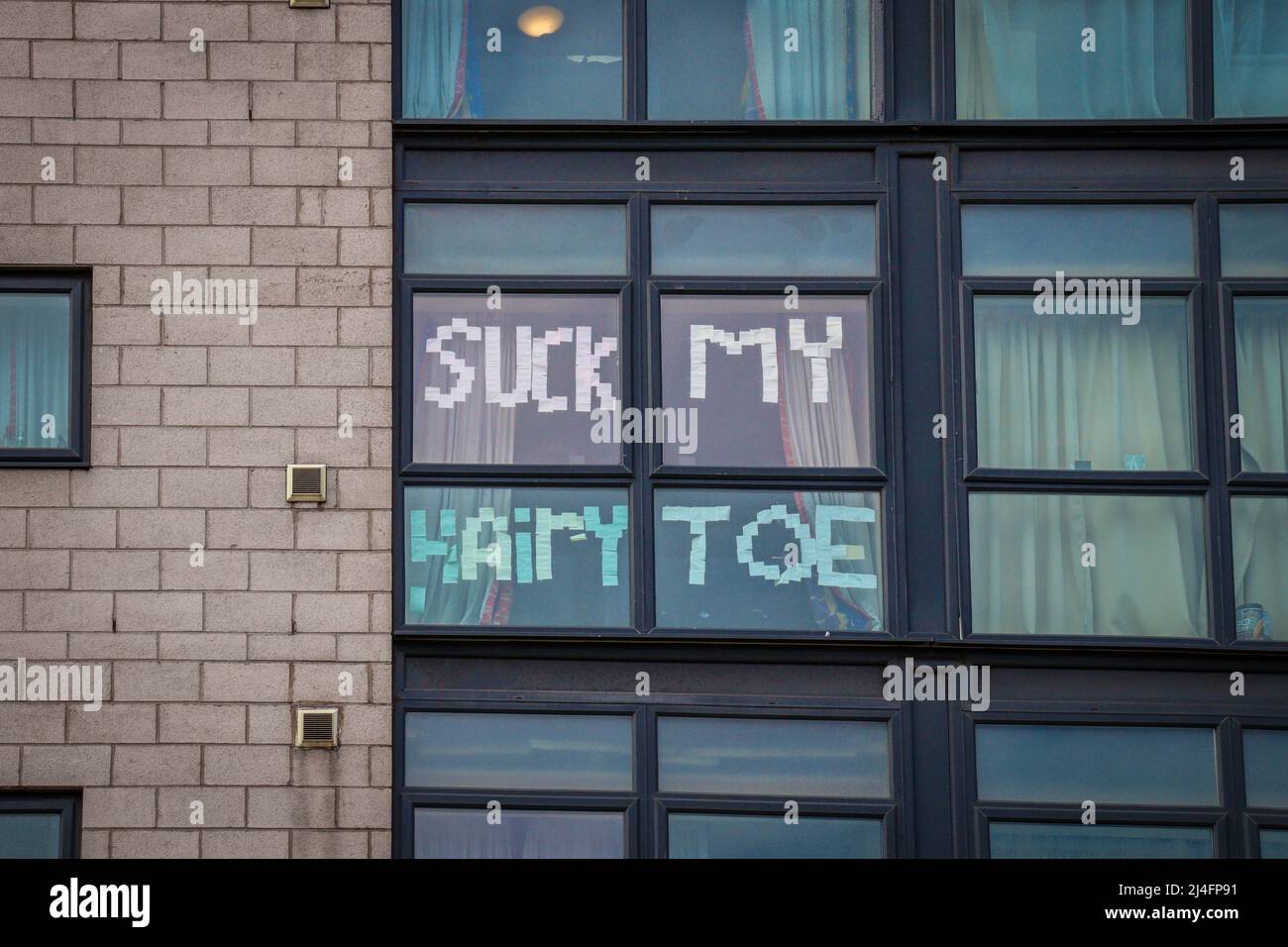 Message de fenêtre « Suck my hairy toe », hébergement étudiant, Liverpool Banque D'Images