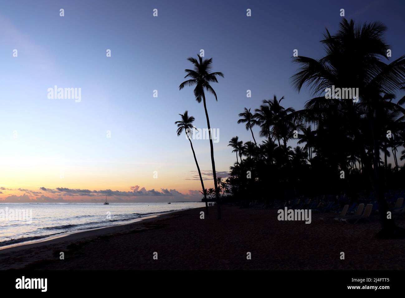 Silhouettes de palmiers à noix de coco sur la plage, ciel de coucher de soleil avec nuages. Côte tropicale, nature paradisiaque pour l'arrière-plan Banque D'Images