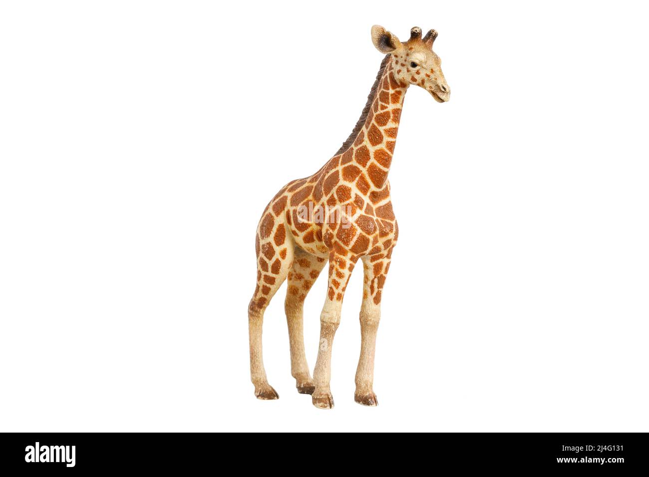 figurine jouet girafe isolée sur fond blanc. Photo de haute qualité Banque D'Images