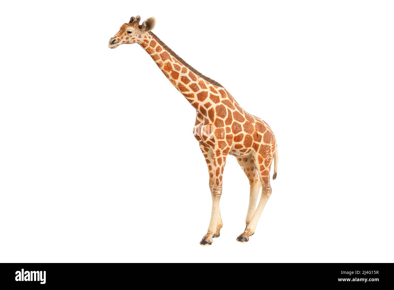 figurine jouet girafe isolée sur fond blanc. Photo de haute qualité Banque D'Images