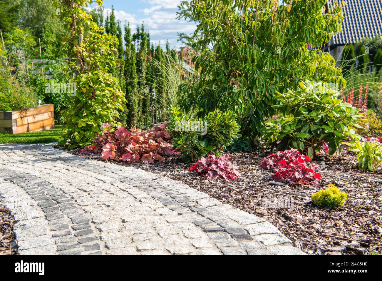 Magnifique jardin résidentiel avec Granite Bricks Path. L'été, paysage de jardin. Banque D'Images