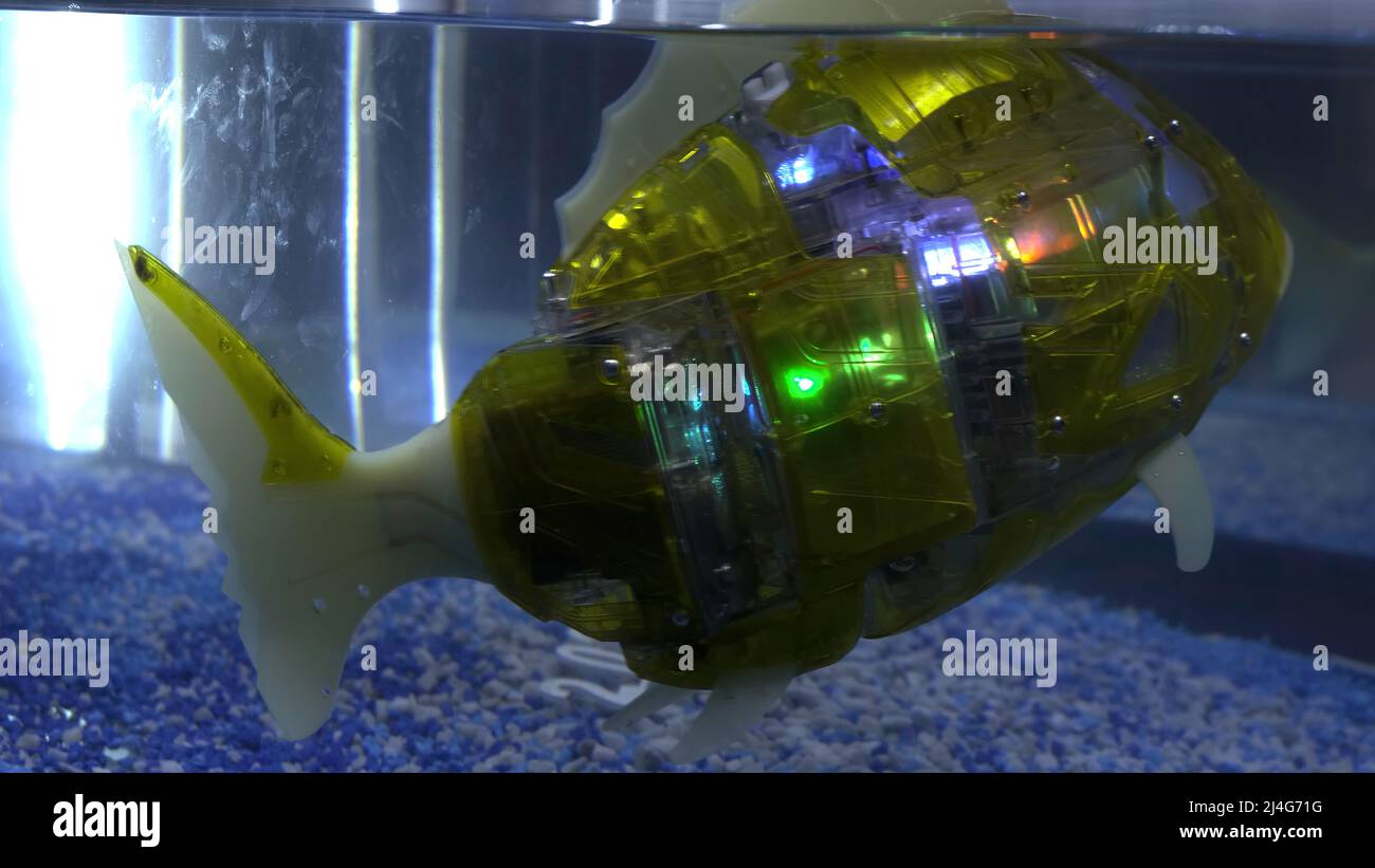 Le robot de poisson nage dans l'aquarium, agitant activement sa queue et scintille avec différentes couleurs. HDR. Robot animal natation sous l'eau. Banque D'Images