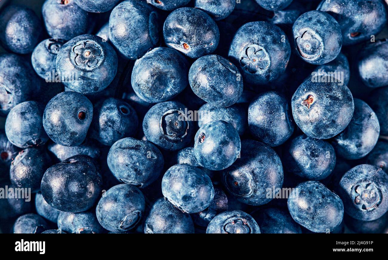 Pile de fruits frais de la forêt. Photo plein format de source naturelle de vitamines et d'antioxydants. Vue grand angle. Banque D'Images