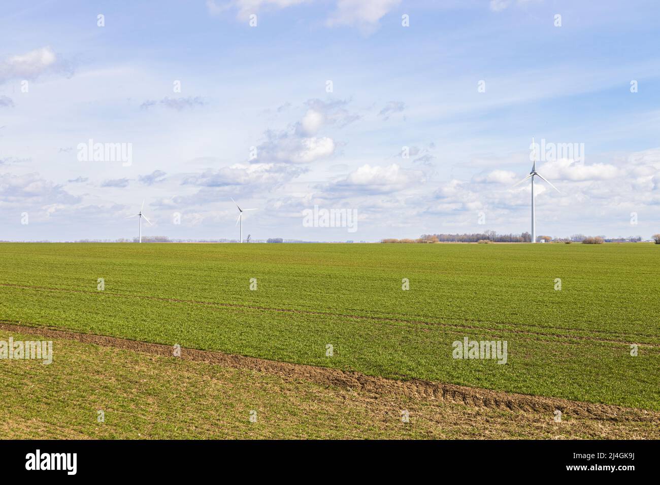 Le champ agricole sous ciel bleu et silhouettes d'éoliennes Banque D'Images
