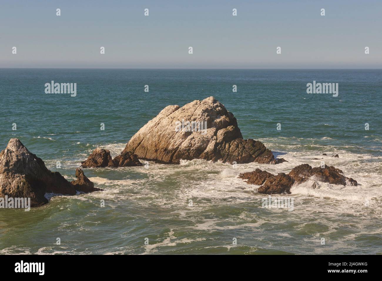 Parc national d'ANO Nuevo - Pescadero, Californie, États-Unis Banque D'Images