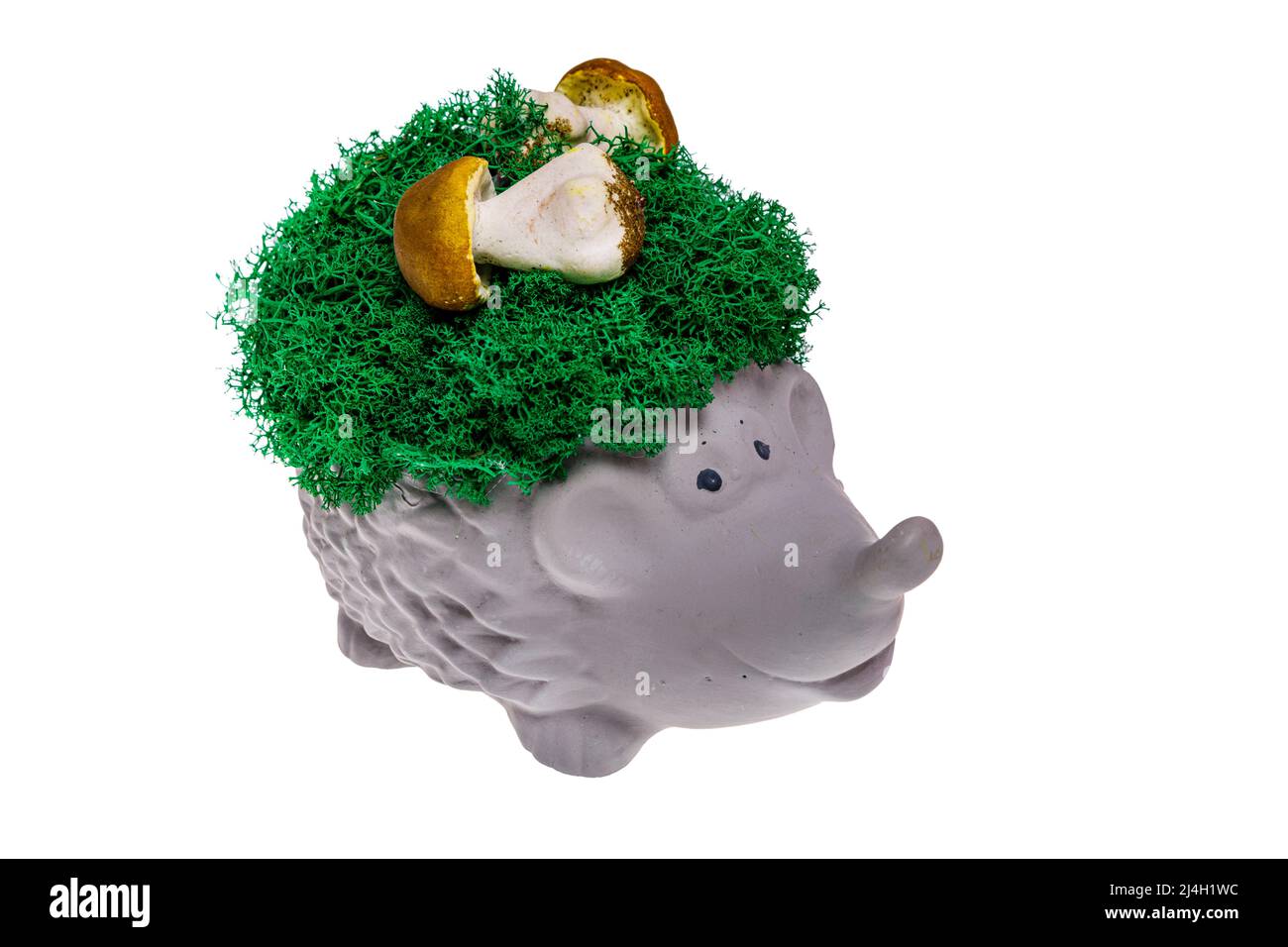 Un vase en forme de hérisson avec une véritable mousse verte, isolé Banque D'Images
