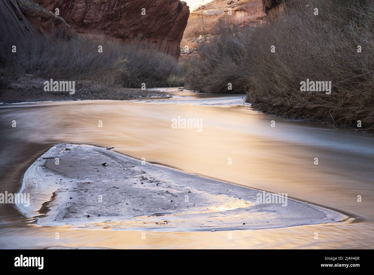 Lumière réfléchie sur le canyon de grès coulant de la rivière Escalante, terrain de loisirs national de Glen Canyon, comté de Kane, Utah, États-Unis Banque D'Images