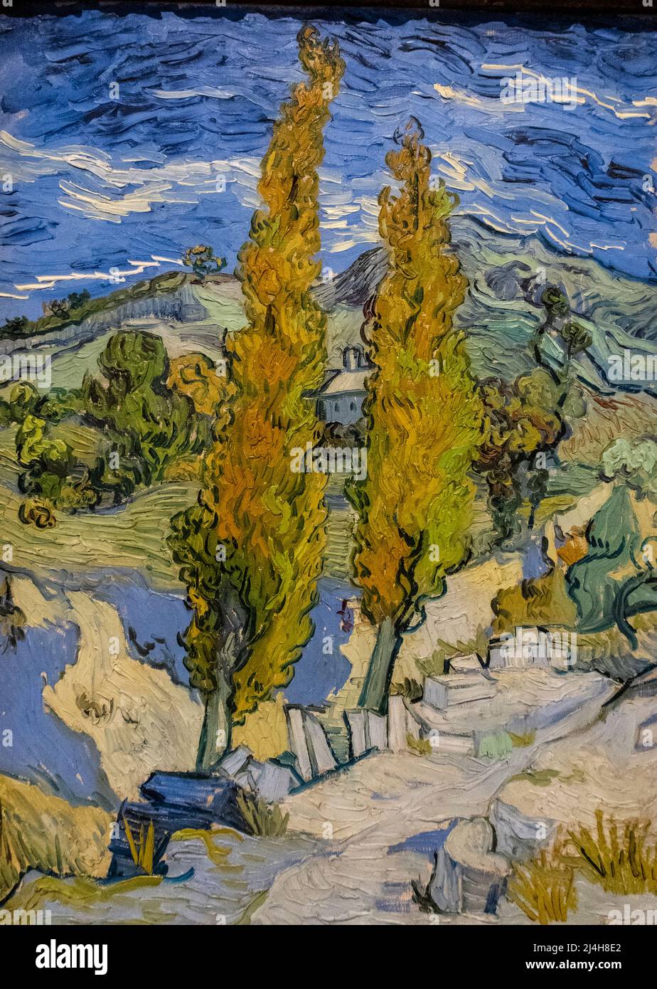 Van Gough peint deux Poplars dans les Alpilles près de Saint-Remy au Cleveland Museum of Art Banque D'Images