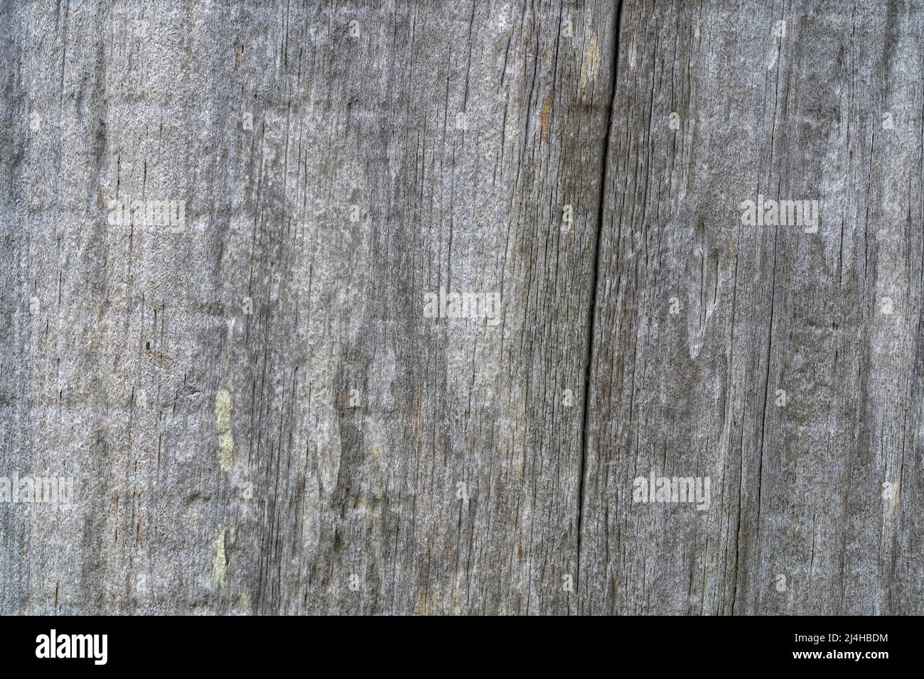 Un arrière-plan ou une texture en bois vieux et fissuré Banque D'Images