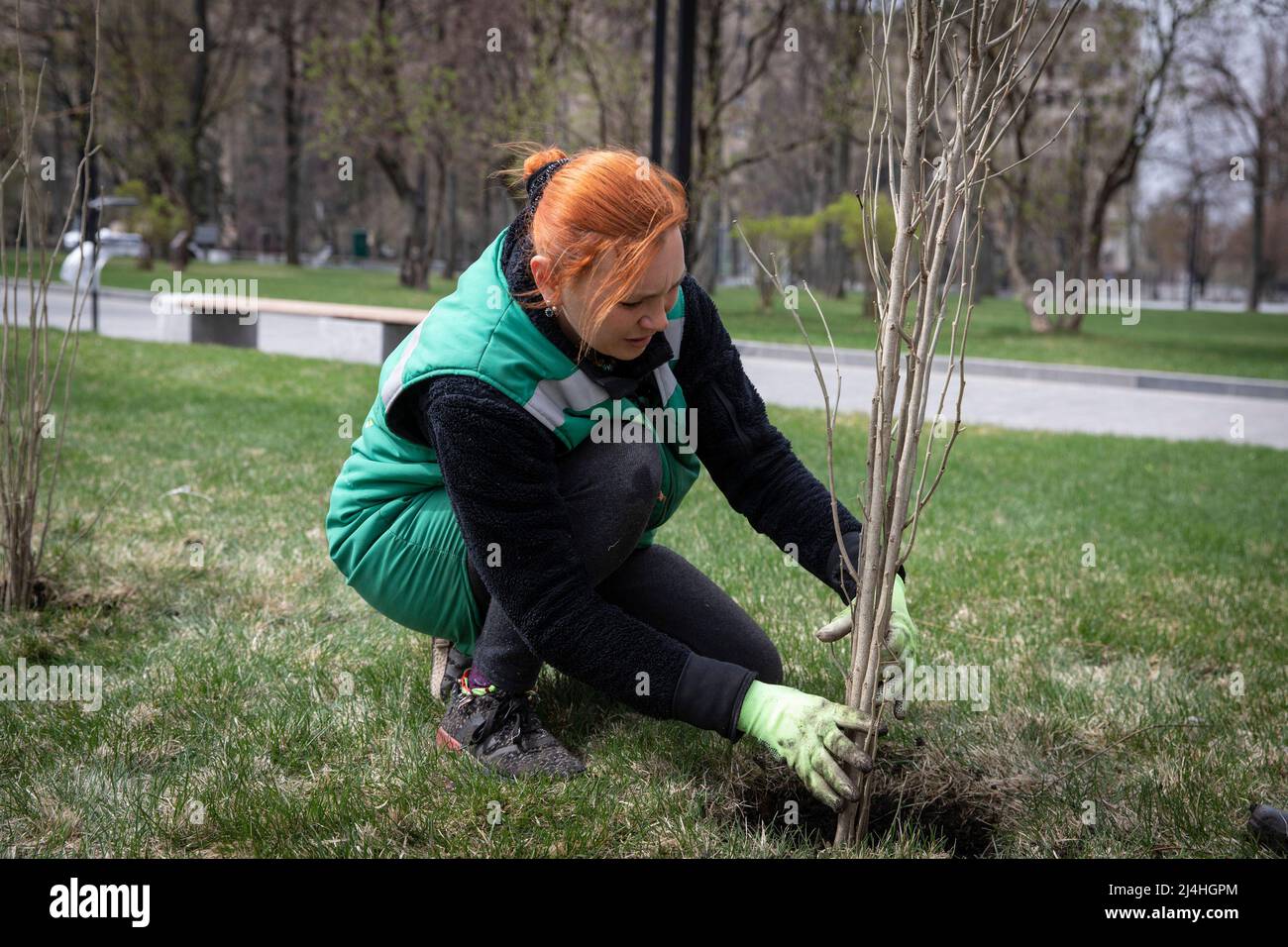 Kharhiv, Ukraine. 14th avril 2022. Un volontaire a vu planter un arbre dans le centre-ville de Kharkiv. Alors que la Russie réapprovisionne ses troupes et concentre l'offensive sur la partie orientale de l'Ukraine, Kharkiv, la deuxième plus grande ville d'Ukraine, est maintenant sous la menace constante de bombardements et de frappes aériennes russes. (Image de crédit : © Alex Chan TSZ Yuk/SOPA Images via ZUMA Press Wire) Banque D'Images