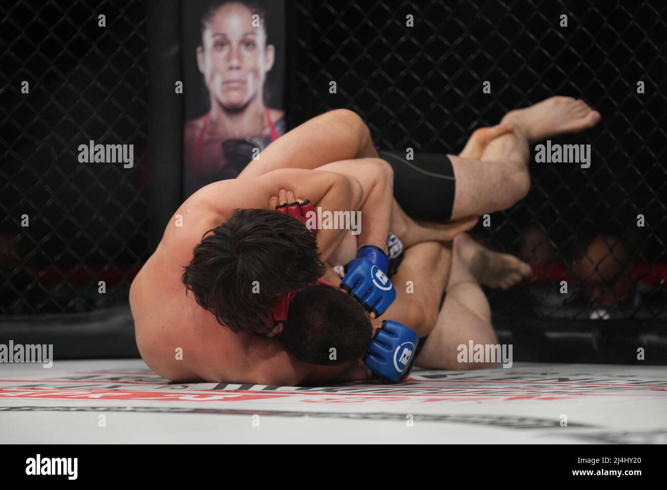 San Jose, Californie, États-Unis. 15 avril 2022, SAN JOSE, San Jose, Californie, États-Unis: SAN JOSE, CA - avril 15: Theo Haig (gants rouges) et Alan Benson (gants bleus) se rencontrent dans l'octogone pour un combat léger 3-rond poids lourds au SAP Center for Bellator 277: McKee vs Pitbull 2 - événement le 15 avril 2022 à SAN JOSE, États-Unis. (Credit image: © Louis Grasse/PX Imagens via ZUMA Press Wire) Credit: ZUMA Press, Inc./Alamy Live News Banque D'Images