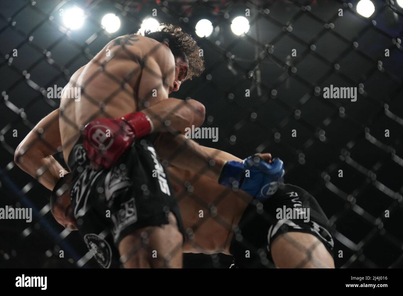 San Jose, Californie, États-Unis. 15 avril 2022, SAN JOSE, San Jose, Californie, États-Unis: SAN JOSE, CA - avril 15: Aaron Pico (gants rouges) et Adli Edwards (gants bleus) se rencontrent dans l'octogone pour un contrat de poids rond 3-point au SAP Center for Bellator 277: McKee vs Pitbull 2 - événement le 15 avril 2022 à SAN JOSE, États-Unis. (Credit image: © Louis Grasse/PX Imagens via ZUMA Press Wire) Credit: ZUMA Press, Inc./Alamy Live News Banque D'Images
