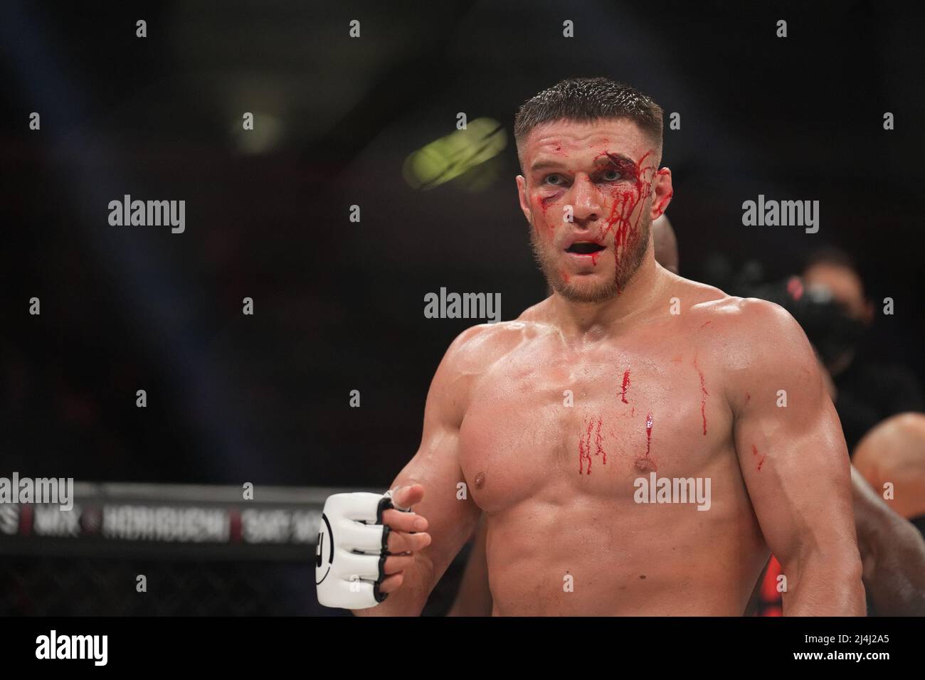 San Jose, Californie, États-Unis. 15th avril 2022. SAN JOSE, CA - avril 15 : Vadim Nemkov (gants rouges) et Corey Anderson (gants bleus) se rencontrent dans l'octogone pour un match de championnat du monde léger poids lourd de 5 tours au SAP Center for Bellator 277: McKee vs Pitbull 2 - événement le 15 avril 2022 à SAN JOSE, États-Unis. (Photo de Louis Grasse/PxImages) crédit: PX Images/Alamy Live News Banque D'Images