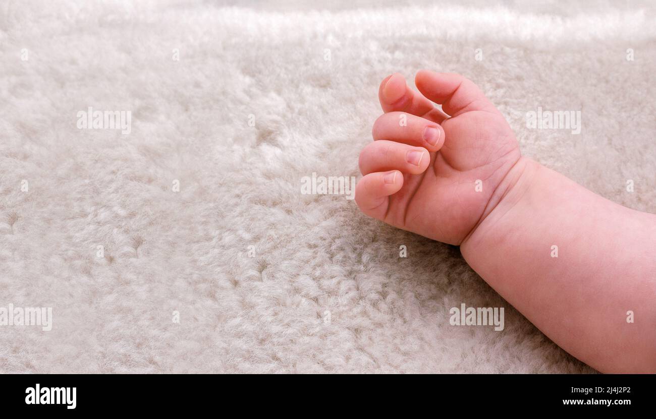 La petite main de bébé s'est accrochée dans le poing Banque D'Images