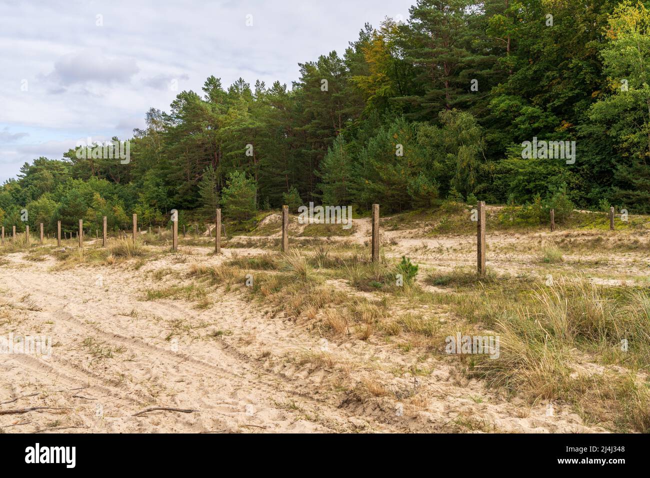 La terre du no sur la frontière entre Ahlbeck in Allemagne et Swinoujscie en Pologne Banque D'Images