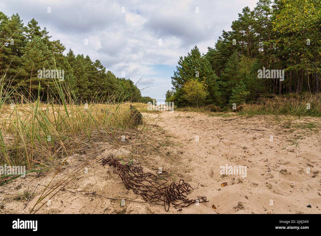 La terre du no sur la frontière entre Ahlbeck in Allemagne et Swinoujscie en Pologne Banque D'Images