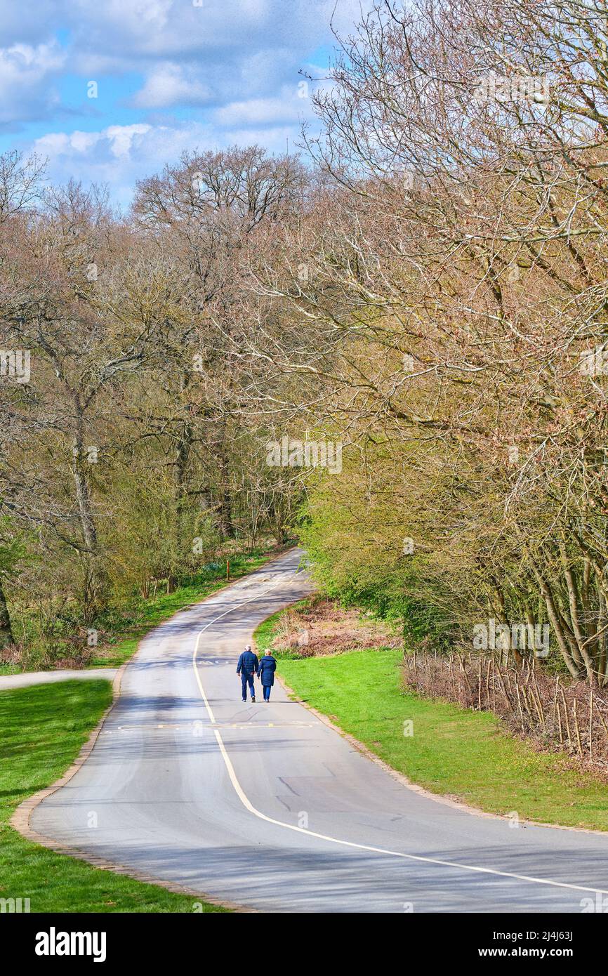 Un couple marche le long d'une route vallonnée et torlante dans un parc le jour du printemps. Banque D'Images