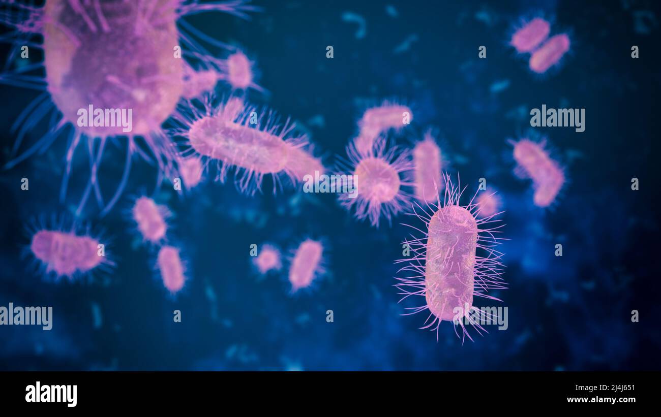 cellules bactériennes sous microscope, concept de microbiologie, recherche scientifique et médicale (rendu 3d) Banque D'Images