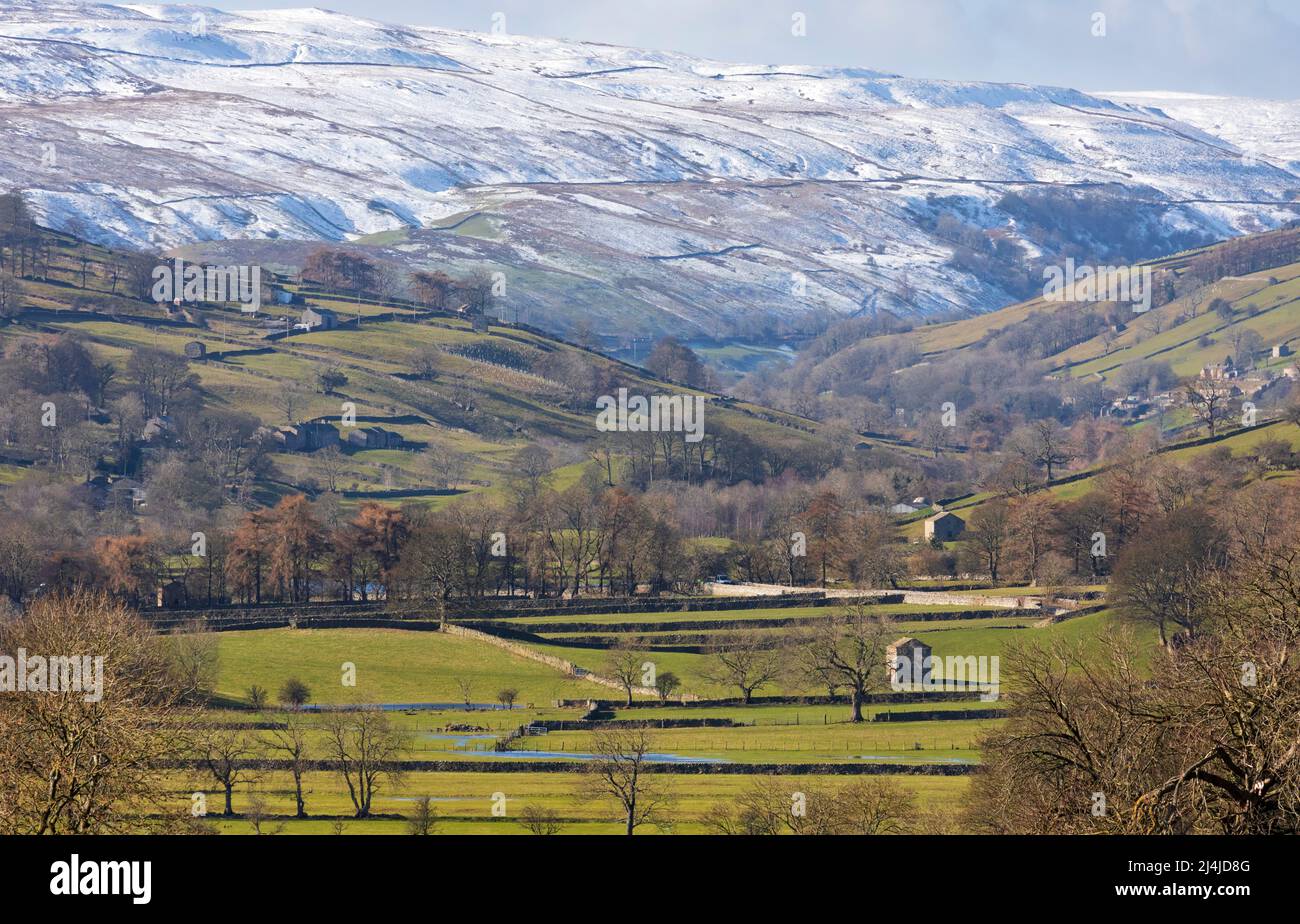 Swaledale, parc national de Yorkshire Dales, collines enneigées au-dessus d'une mosaïque de champs et de pâturages bordés de murs de pierre sèche avec des granges en pierre emblématiques Banque D'Images