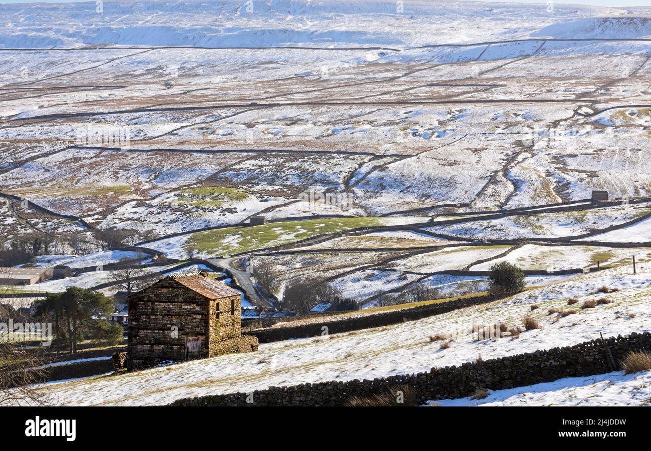 Swaledale, parc national de Yorkshire Dales, collines enneigées au-dessus d'une grange en pierre typique. Les murs en pierre sèche bordent les champs et les pâturages avec la pierre emblématique b Banque D'Images