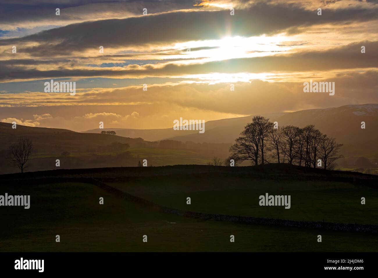 Upper Wensleydale près de Simonstone au coucher du soleil, parc national de Yorkshire Dales Banque D'Images
