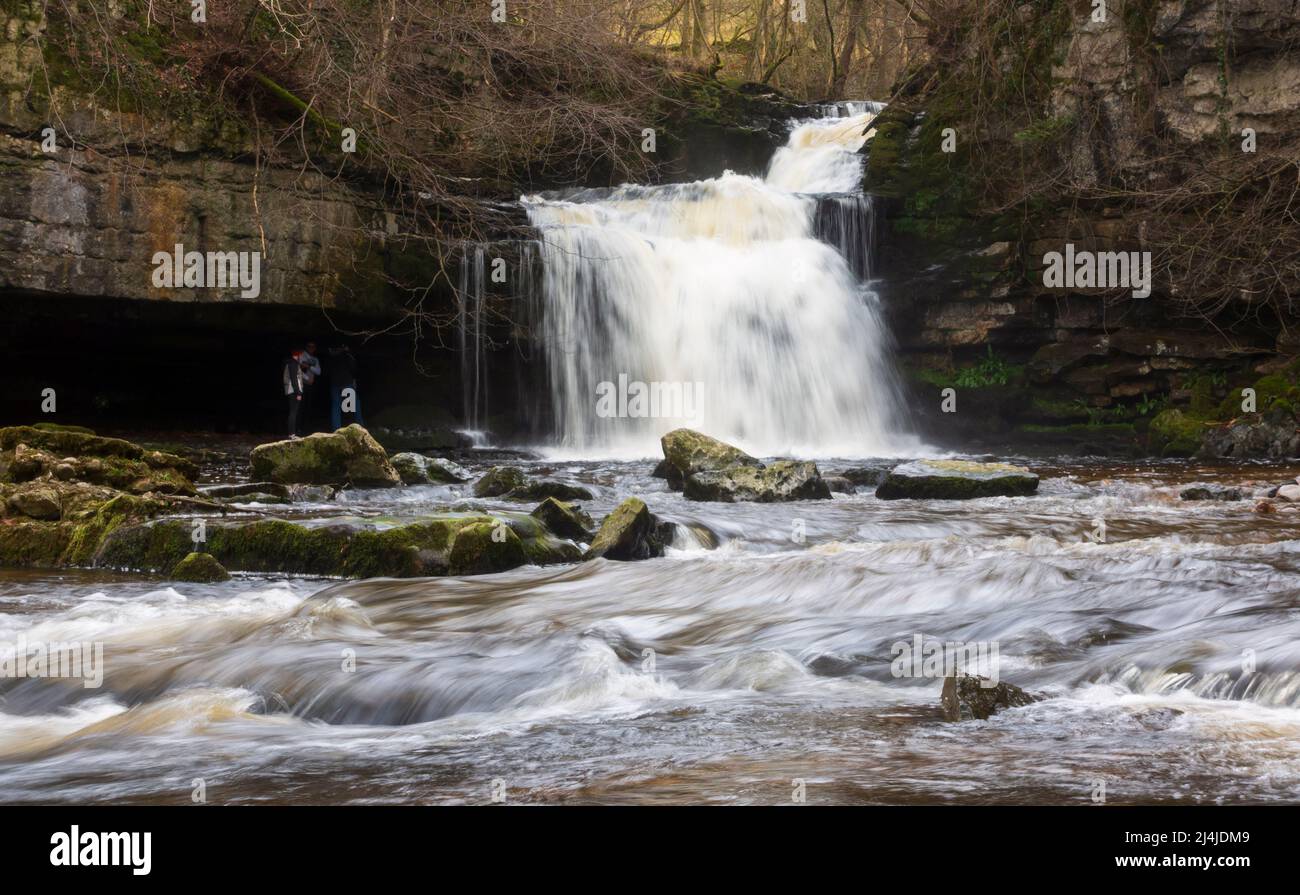 West Burton Falls, Wensleydale, parc national de Yorkshire Dales. Également connue sous le nom de Cauldron Falls, la belle cascade est nichée dans un petit village Banque D'Images