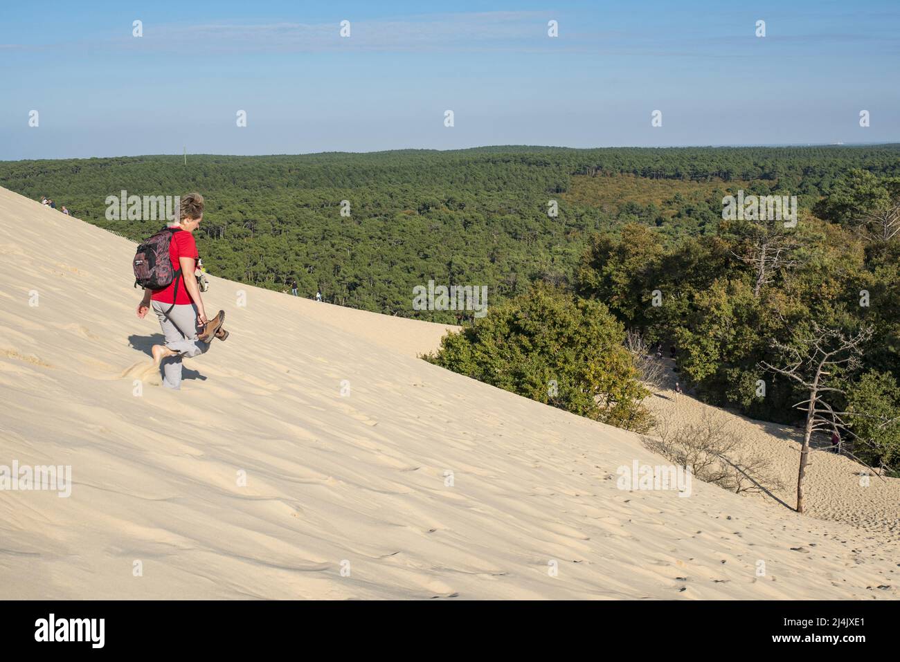 France, Gironde (33) à l'entrée du bassin d'Arcachon, descente de la dune du Pilat Banque D'Images