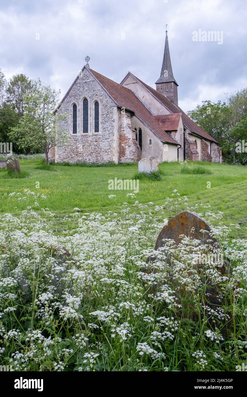 Église paroissiale anglicane de St. Etheldreda dans le village d'Essex de White Notley Banque D'Images